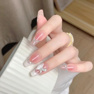 Charme ailé- Ongles Press On